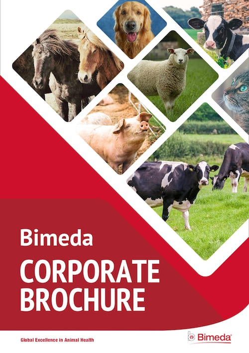 Bimeda Corporate Brochure title