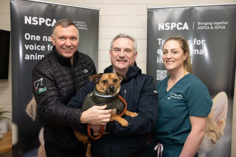 Bimeda Ireland Announces 2026 Corporate Partnership With NSPCA
