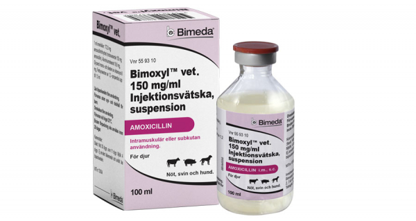 Bimoxyl vet
